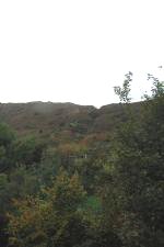 The incline